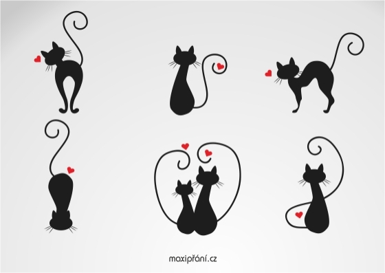 Zamilované obrázkové přání z lásky - kočičky - přední strana